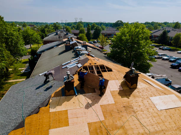 Best Commercial Roofing Services  in Downs, IL