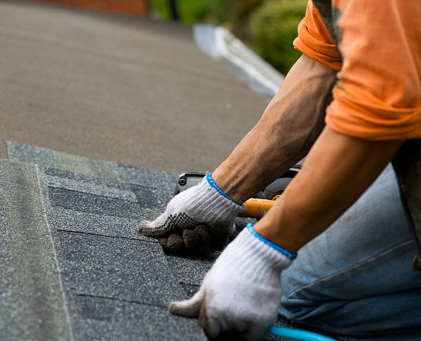 Best Roof Waterproofing Services  in Downs, IL