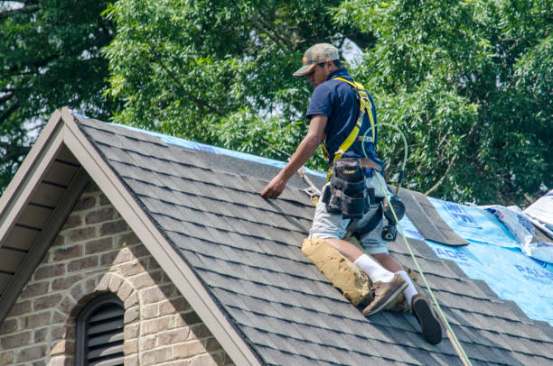 Best Residential Roofing Contractor  in Downs, IL